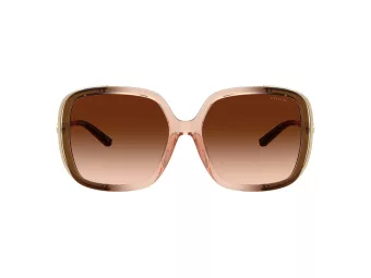 Coach Cad80 Lunettes de Soleil HC 8423U 576974