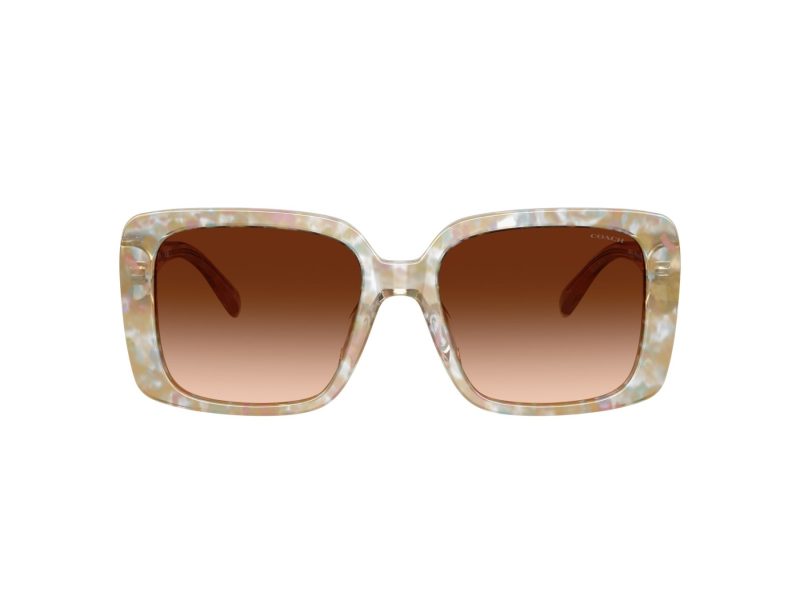 Coach Cad54 Lunettes de Soleil HC 8424U 586874
