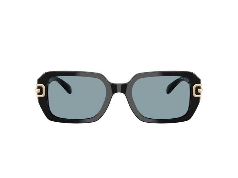 Coach Cad74 Lunettes de Soleil HC 8425U 500272