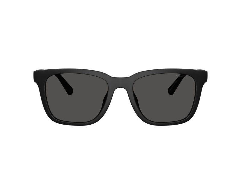 Coach Cad81 Lunettes de Soleil HC 8426U 500287