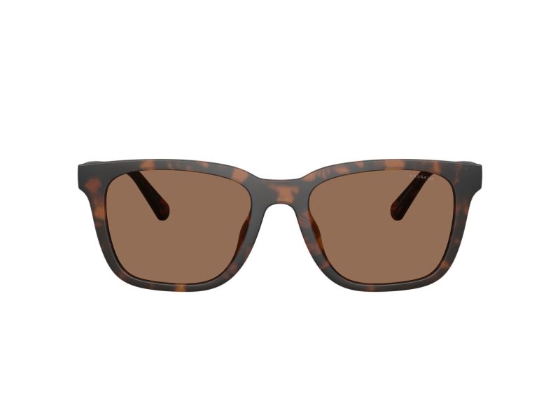 Coach Cad81 Lunettes de Soleil HC 8426U 512073
