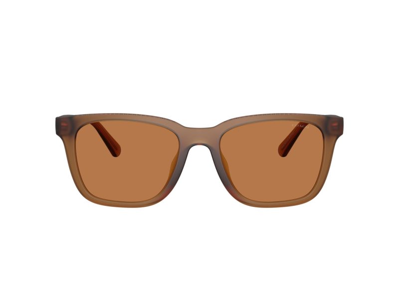 Coach Cad81 Lunettes de Soleil HC 8426U 587673