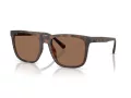 Coach Cae78 Lunettes de Soleil HC 8427U 512073