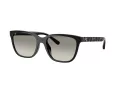 Coach Cae86 Lunettes de Soleil HC 8429D 50023C