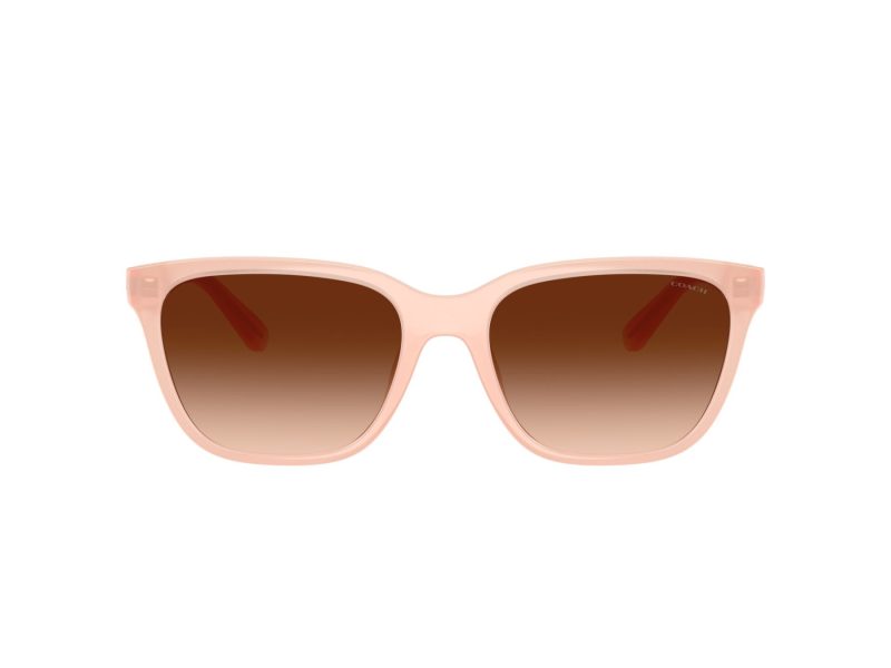 Coach Cae86 Lunettes de Soleil HC 8429D 511374