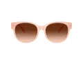 Coach Cae87 Lunettes de Soleil HC 8430D 511374
