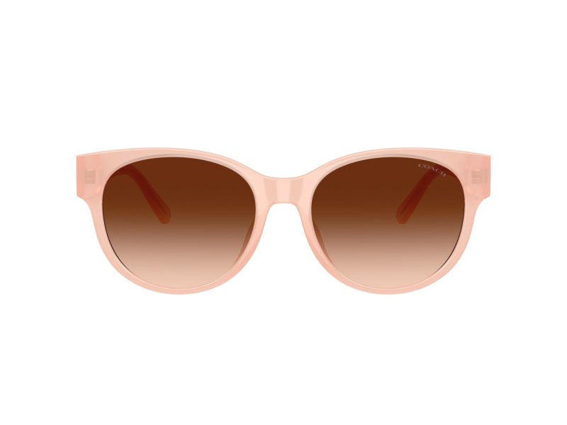Coach Cae87 Lunettes de Soleil HC 8430D 511374