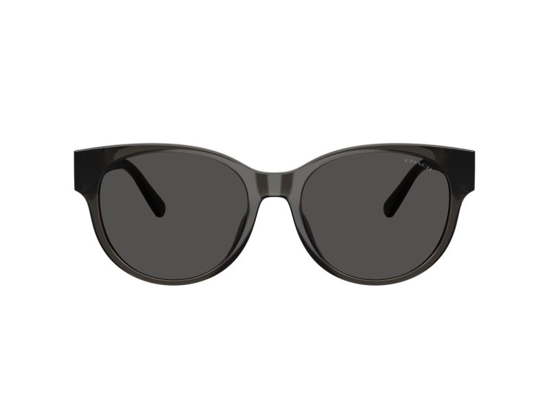Coach Cae87 Lunettes de Soleil HC 8430D 589787