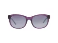 Harley-Davidson Lunettes de Soleil HD 0307X 81A
