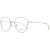 Ana Hickmann Lunettes de Vue HIY 1004 05A