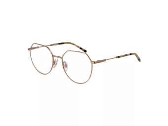 Ana Hickmann Lunettes de Vue HIY 1005 05A
