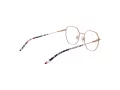 Ana Hickmann Lunettes de Vue HIY 1006 06A