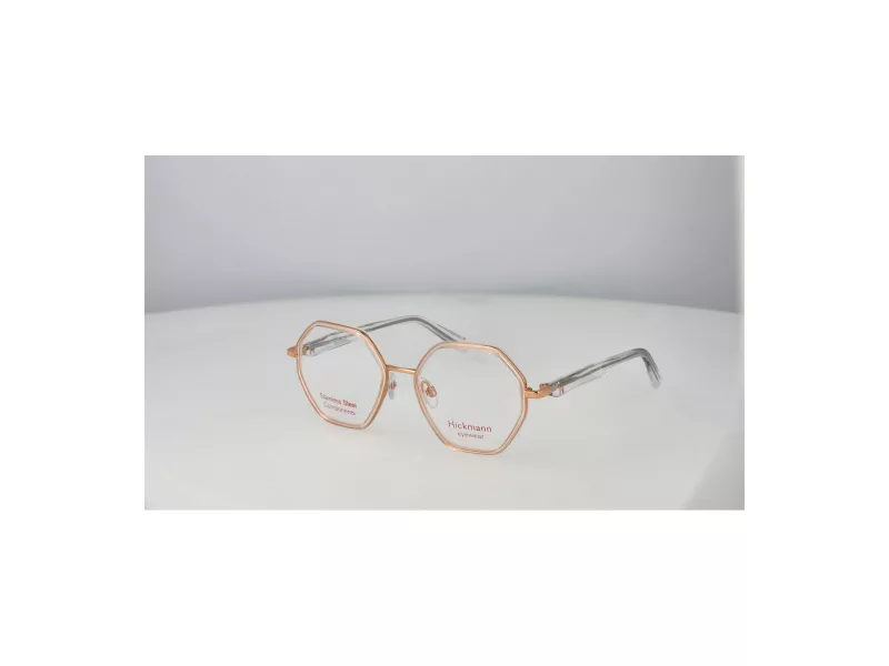 Ana Hickmann Lunettes de Vue HIY 1025 T01