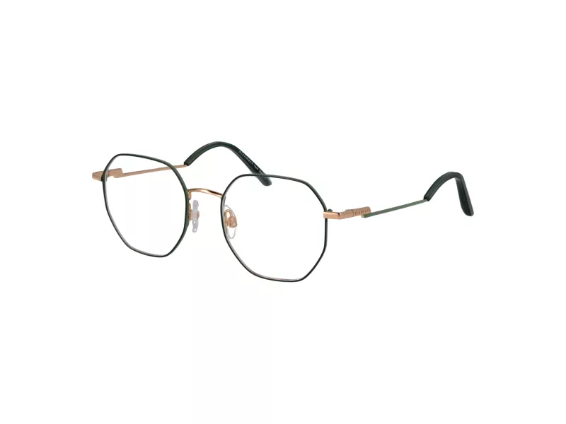 Ana Hickmann Lunettes de Vue HI 1233 12A