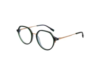 Ana Hickmann Lunettes de Vue HI 6255 T01