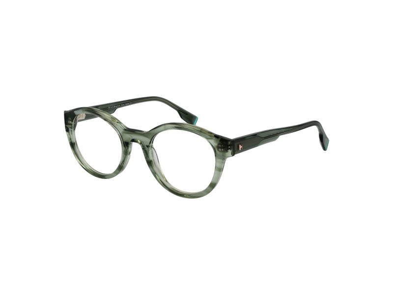 Ana Hickmann Lunettes de Vue HI 6267 E01