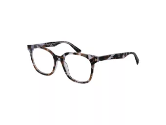 Ana Hickmann Lunettes de Vue HI 6273 G21