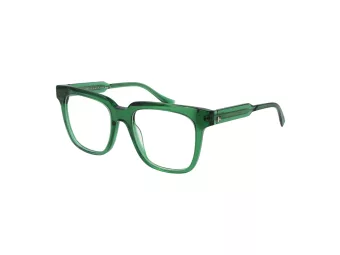 Ana Hickmann Lunettes de Vue HI 6286 T01