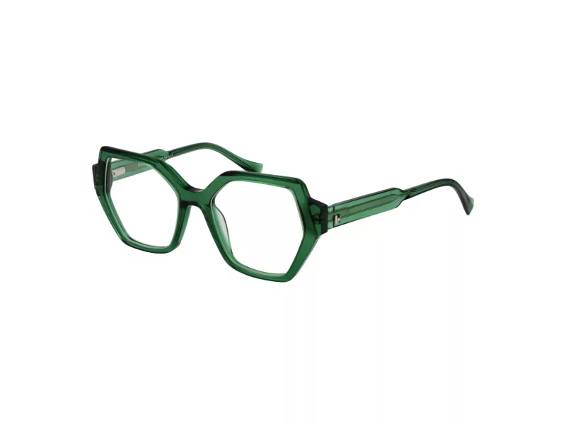 Ana Hickmann Lunettes de Vue HI 6289 T02