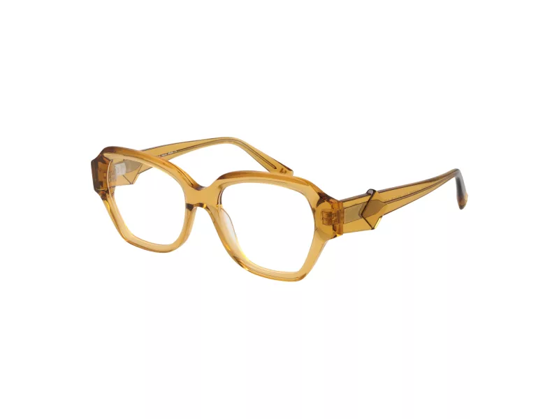 Ana Hickmann Lunettes de Vue HI 6296 T01