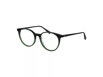 Ana Hickmann Lunettes de Vue HI 6313 C01