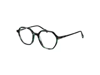 Ana Hickmann Lunettes de Vue HI 6335 G21