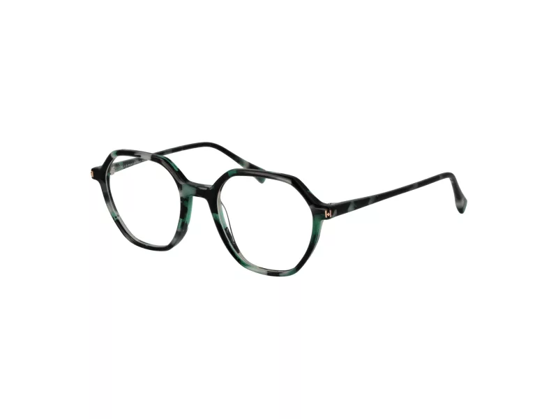 Ana Hickmann Lunettes de Vue HI 6335 G21