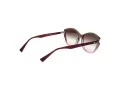 Ana Hickmann Lunettes de Soleil HI 9185 C01