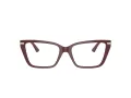 Jimmy Choo Lunettes de Vue JC 3002B 5018