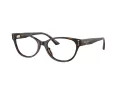 Jimmy Choo Lunettes de Vue JC 3003BU 5002