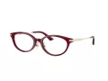 Jimmy Choo Lunettes de Vue JC 3029D 5062