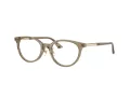 Jimmy Choo Lunettes de Vue JC 3039D 5051