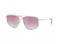 Jimmy Choo Lunettes de Soleil JC 4011 300658