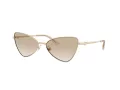 Jimmy Choo Lunettes de Soleil JC 4015HB 300611
