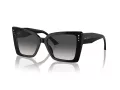 Jimmy Choo Lunettes de Soleil JC 5001B 50008G