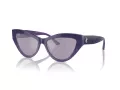 Jimmy Choo Lunettes de Soleil JC 5004 50482S