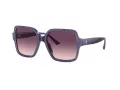 Jimmy Choo Lunettes de Soleil JC 5005 50447W