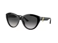 Jimmy Choo Lunettes de Soleil JC 5007 50008G