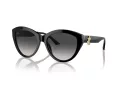 Jimmy Choo Lunettes de Soleil JC 5007 50008G