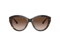 Jimmy Choo Lunettes de Soleil JC 5007 500213
