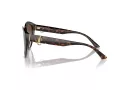 Jimmy Choo Lunettes de Soleil JC 5007 500213