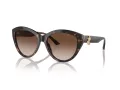 Jimmy Choo Lunettes de Soleil JC 5007 500213