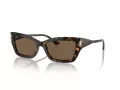 Jimmy Choo Lunettes de Soleil JC 5011U 500273