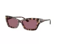 Jimmy Choo Lunettes de Soleil JC 5011U 50701A