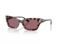 Jimmy Choo Lunettes de Soleil JC 5011U 50701A