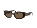 Jimmy Choo Lunettes de Soleil JC 5015U 500273