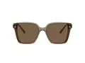Jimmy Choo Lunettes de Soleil JC 5016D 505173