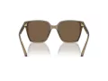 Jimmy Choo Lunettes de Soleil JC 5016D 505173