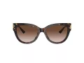 Jimmy Choo Lunettes de Soleil JC 5018U 500213