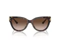Jimmy Choo Lunettes de Soleil JC 5018U 500213